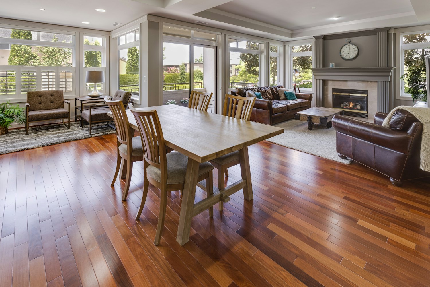 Dark espresso-toned hardwood flooring.