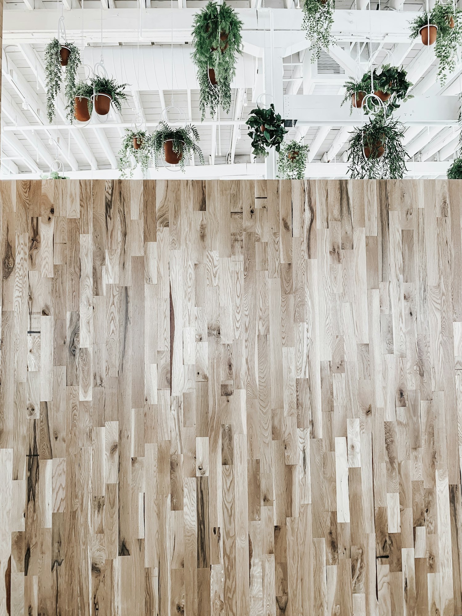 Wood-look luxury vinyl plank.